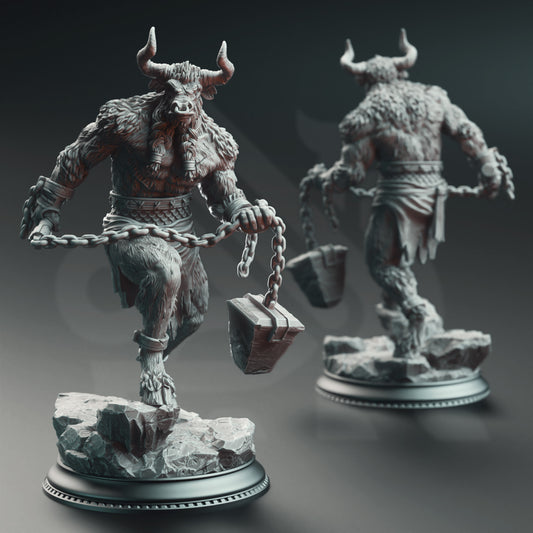 Chain Minotaur