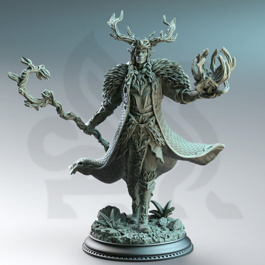 Elf High Druid Male