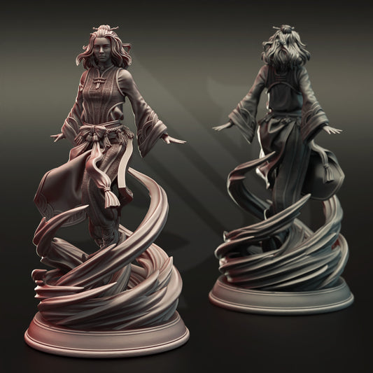 Air Genasi Sorcerer / Monk Female