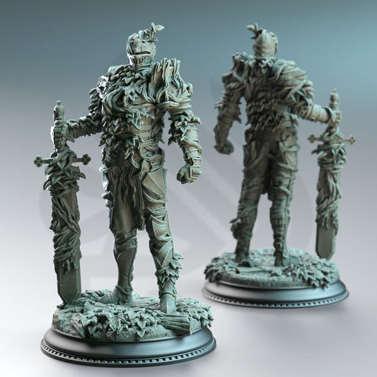 Forgotten Knight Moderately Vine Possessed